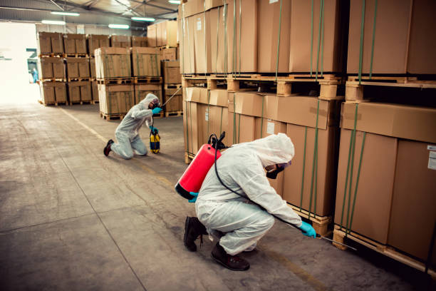 Best Flea Control Services  in Questa, NM