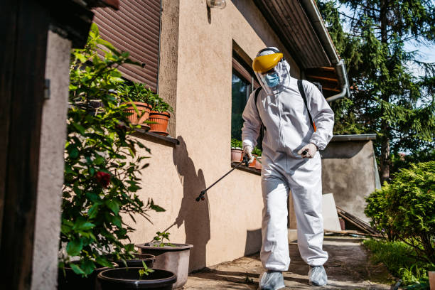 Best Insect Control  in Questa, NM