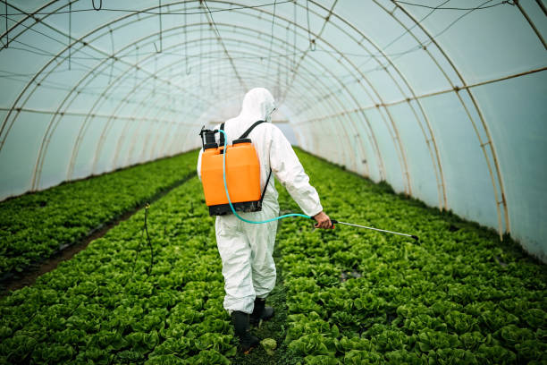 Best Best Pest Control Companies  in Questa, NM