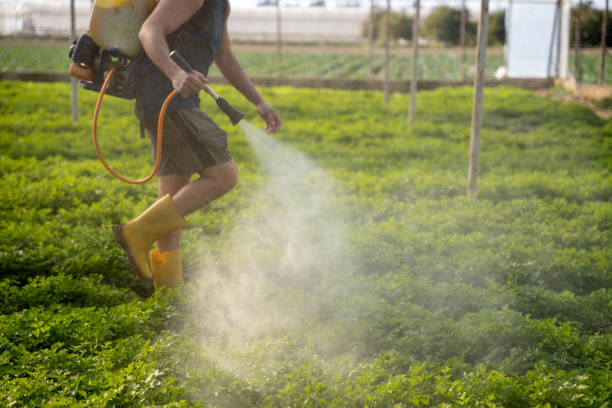 Best Exterminator Services  in Questa, NM