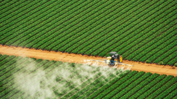 Best Termite Control Services  in Questa, NM