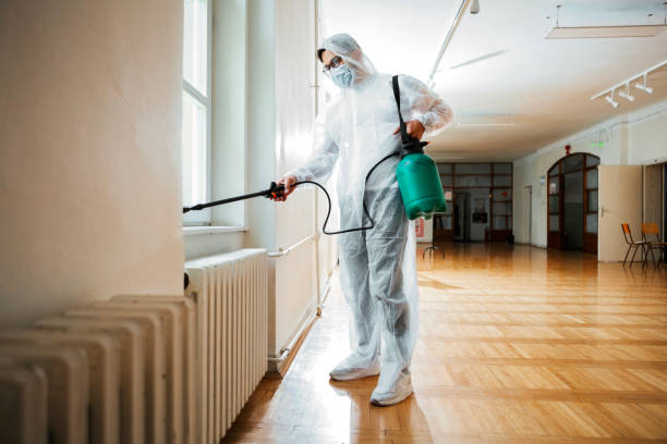 Best Residential Pest Control  in Questa, NM