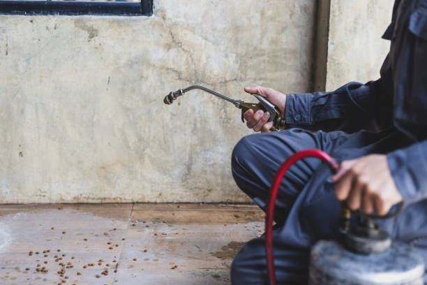 Best Pest Inspection Near Me  in Questa, NM